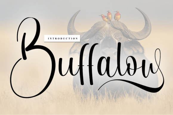 Buffalow: A Handwritten Font That Elevates Your Brand